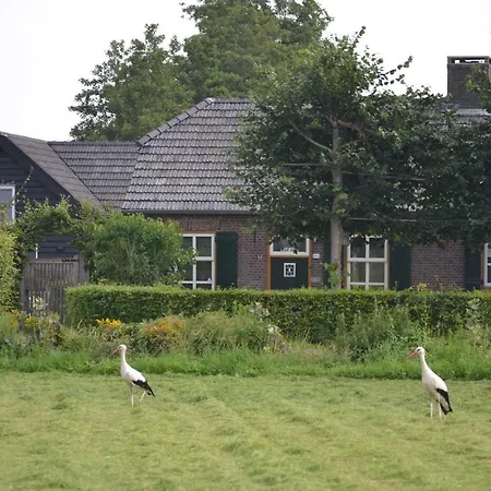 Bed & Breakfast Het Steenuiltje Sint-Oedenrode
