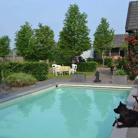 Het Steenuiltje Bed & Breakfast *