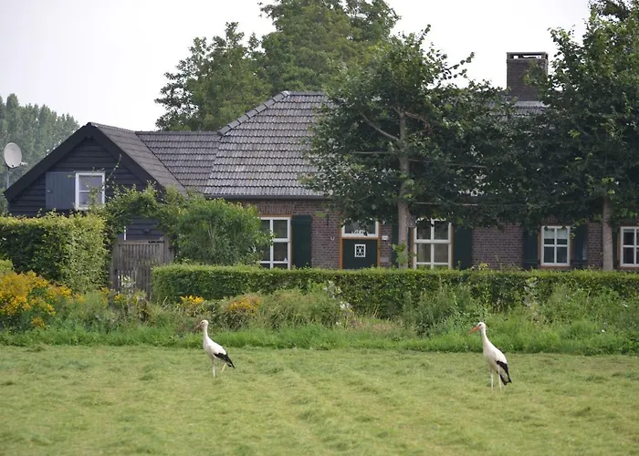 Frühstückspension Het Steenuiltje Sint-Oedenrode