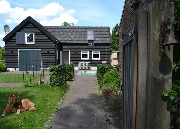 Het Steenuiltje * Sint-Oedenrode