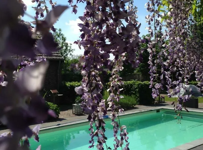 Het Steenuiltje Frühstückspension Sint-Oedenrode