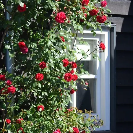 Het Steenuiltje Sint-Oedenrode