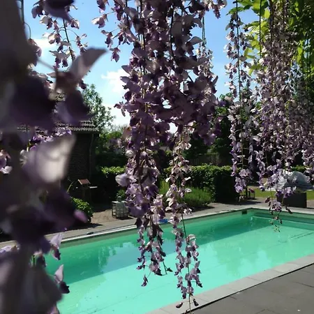 Het Steenuiltje B&B Sint-Oedenrode