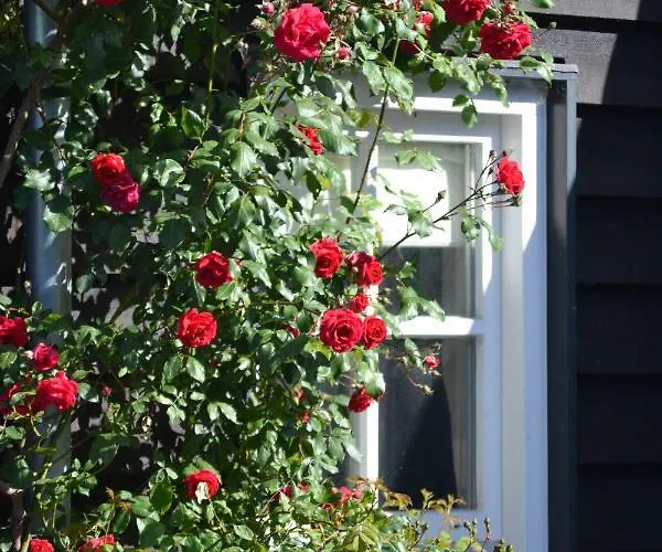 Het Steenuiltje Sint-Oedenrode