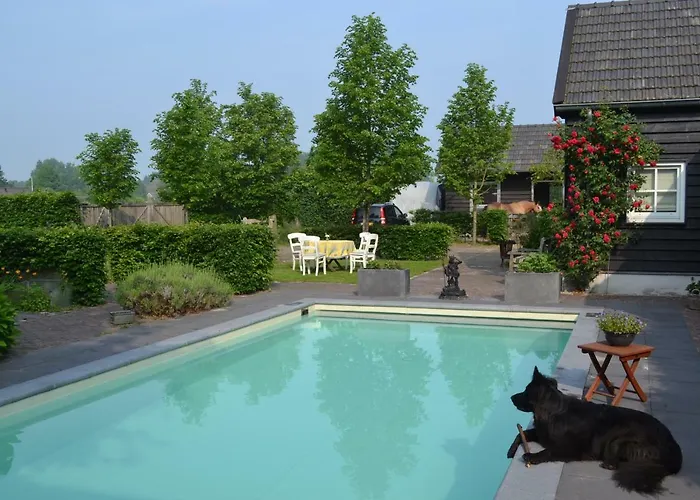 Het Steenuiltje Panzió *